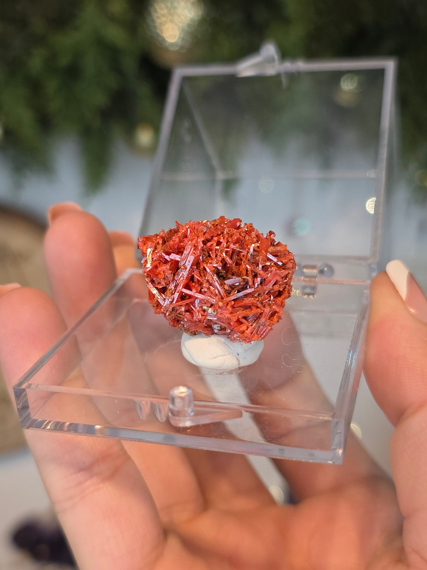Crocoite from Australia - MAS6085
