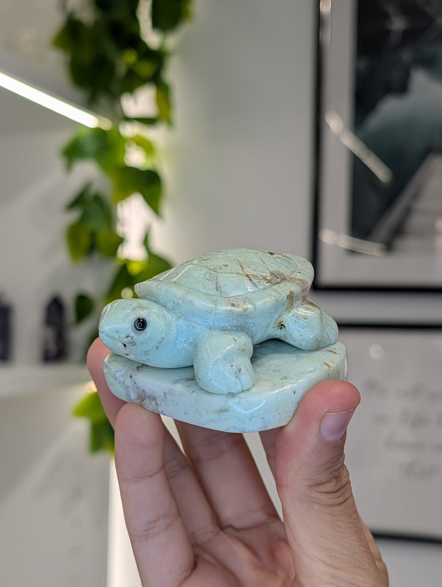 Hand Carved Indonesian Chrysoprase Frogs and Turtles