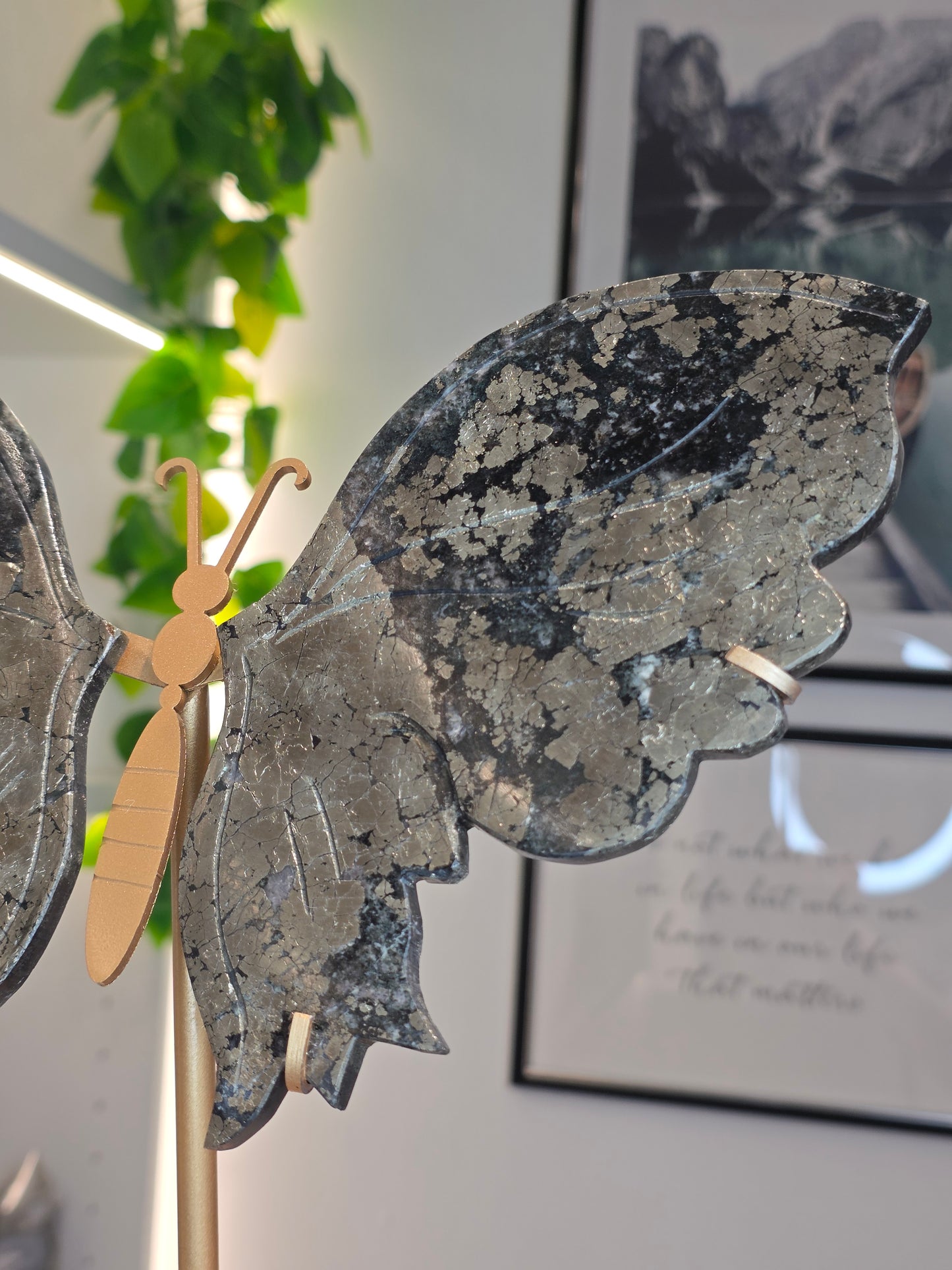 Pyrite Butterfly Wings on Custom Stand - A