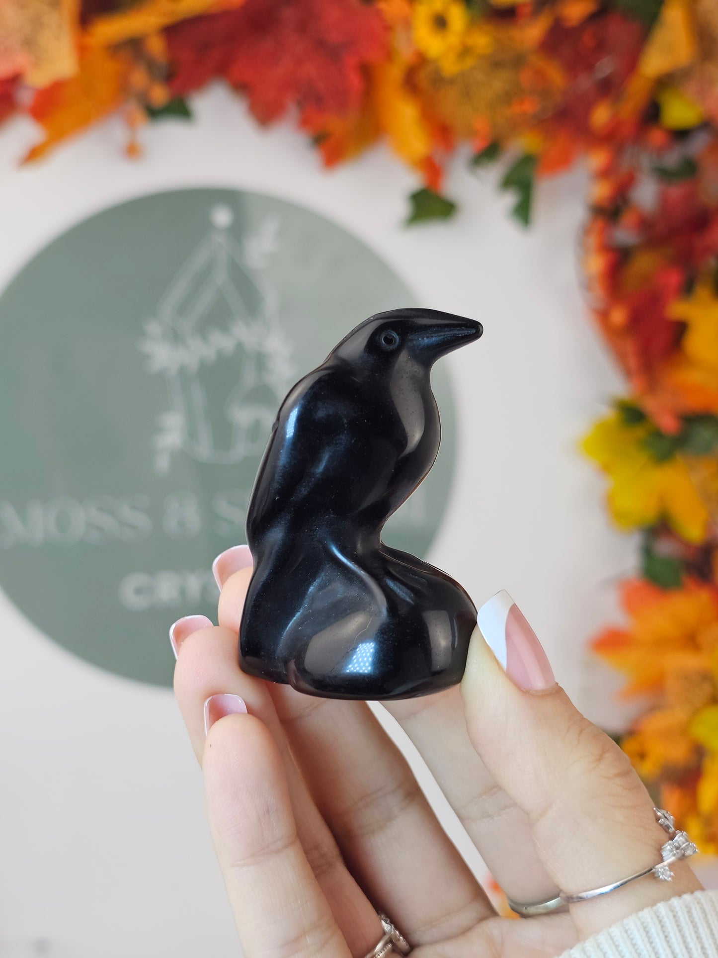 Obsidian Raven - MAS1450