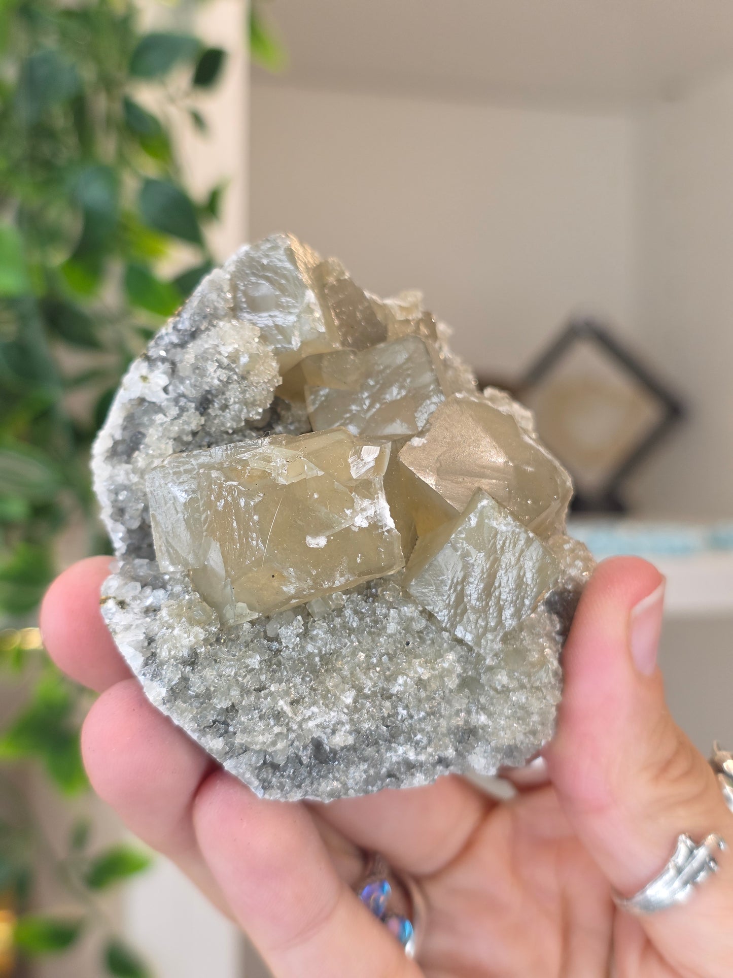 Honey Calcite Cubes on Druzy Sugar Calcite and Stilbite Matrix from Madhya Pradesh, India - Q
