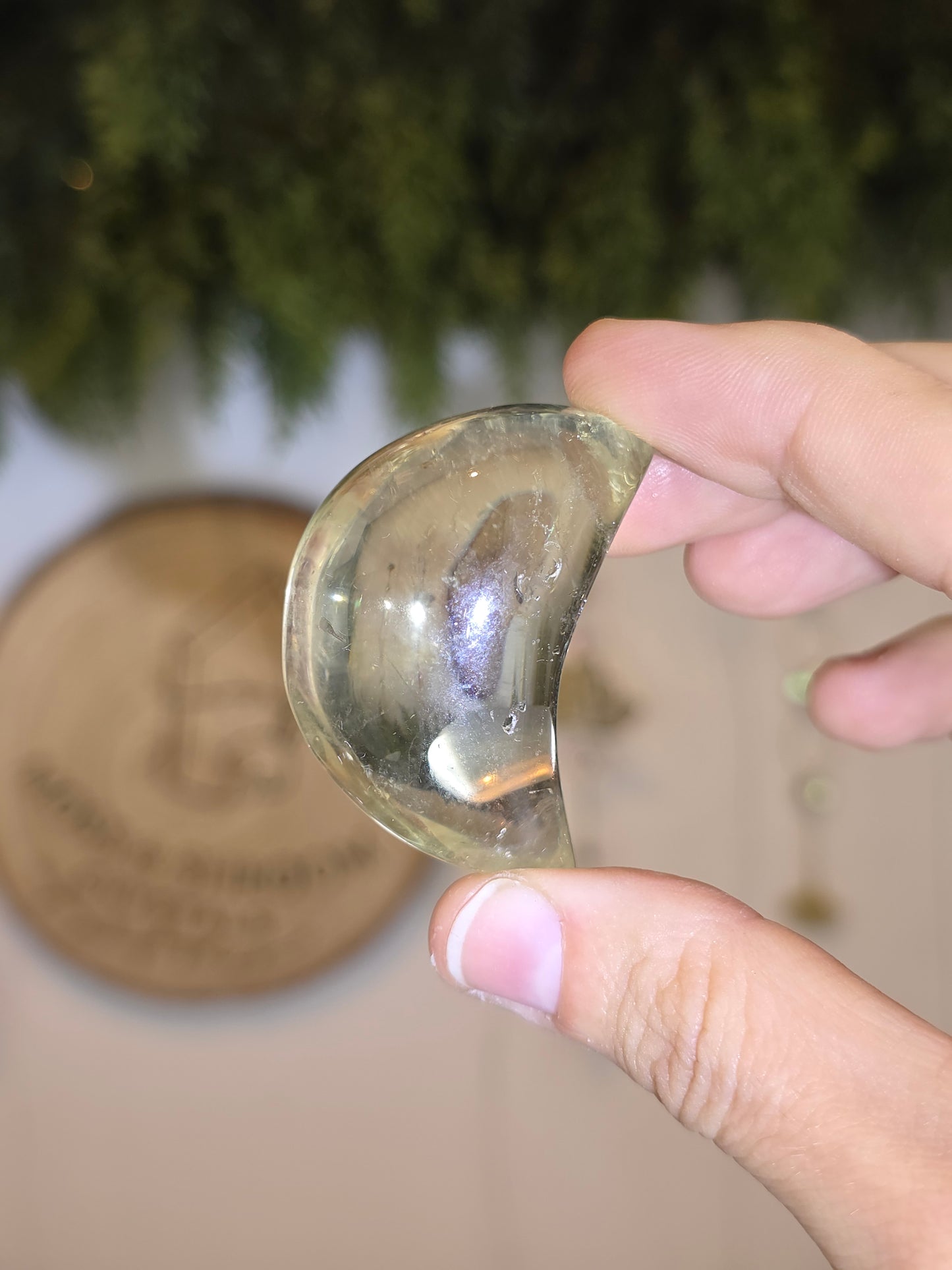 Brazilian Citrine Moons