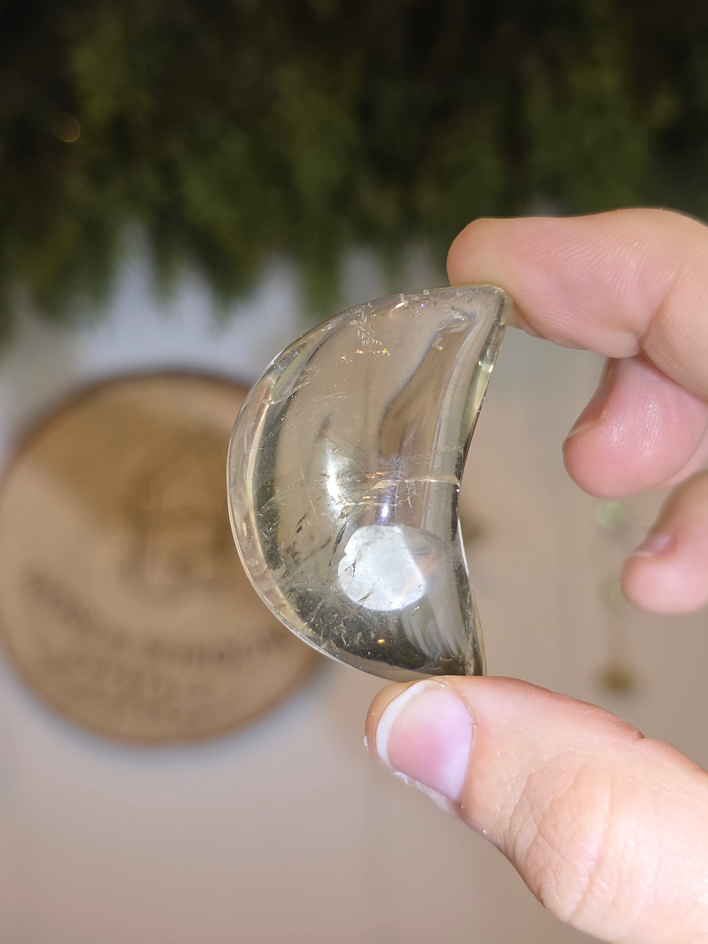 Brazilian Citrine Moons