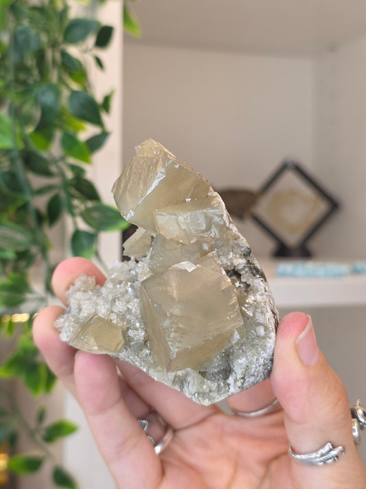 Honey Calcite Cubes on Druzy Sugar Calcite and Stilbite Matrix from Madhya Pradesh, India - AF
