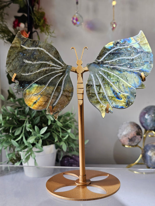 Labradorite Butterfly Wings on Custom Stand - MAS0825