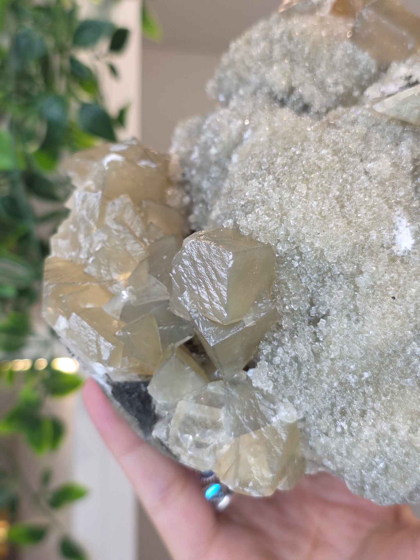 Honey Calcite Cubes on Druzy Sugar Calcite and Stilbite Matrix from Madhya Pradesh, India - AK