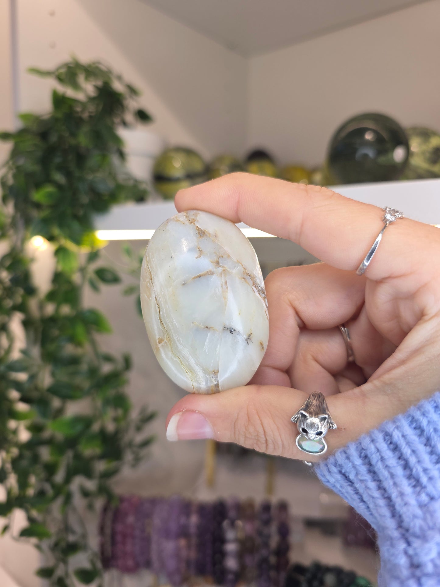 Peruvian Andean Opal Palms