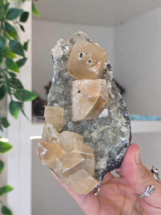 Honey Calcite Cubes on Druzy Sugar Calcite and Stilbite Matrix from Madhya Pradesh, India - AA
