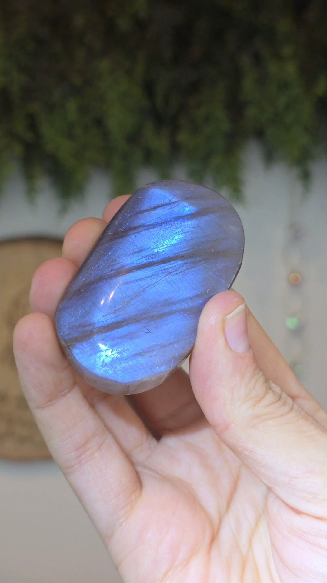 Moonstone with Sunstone Palms